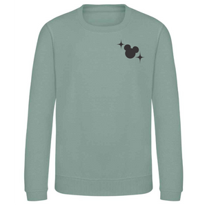 Disney Boy Sweat