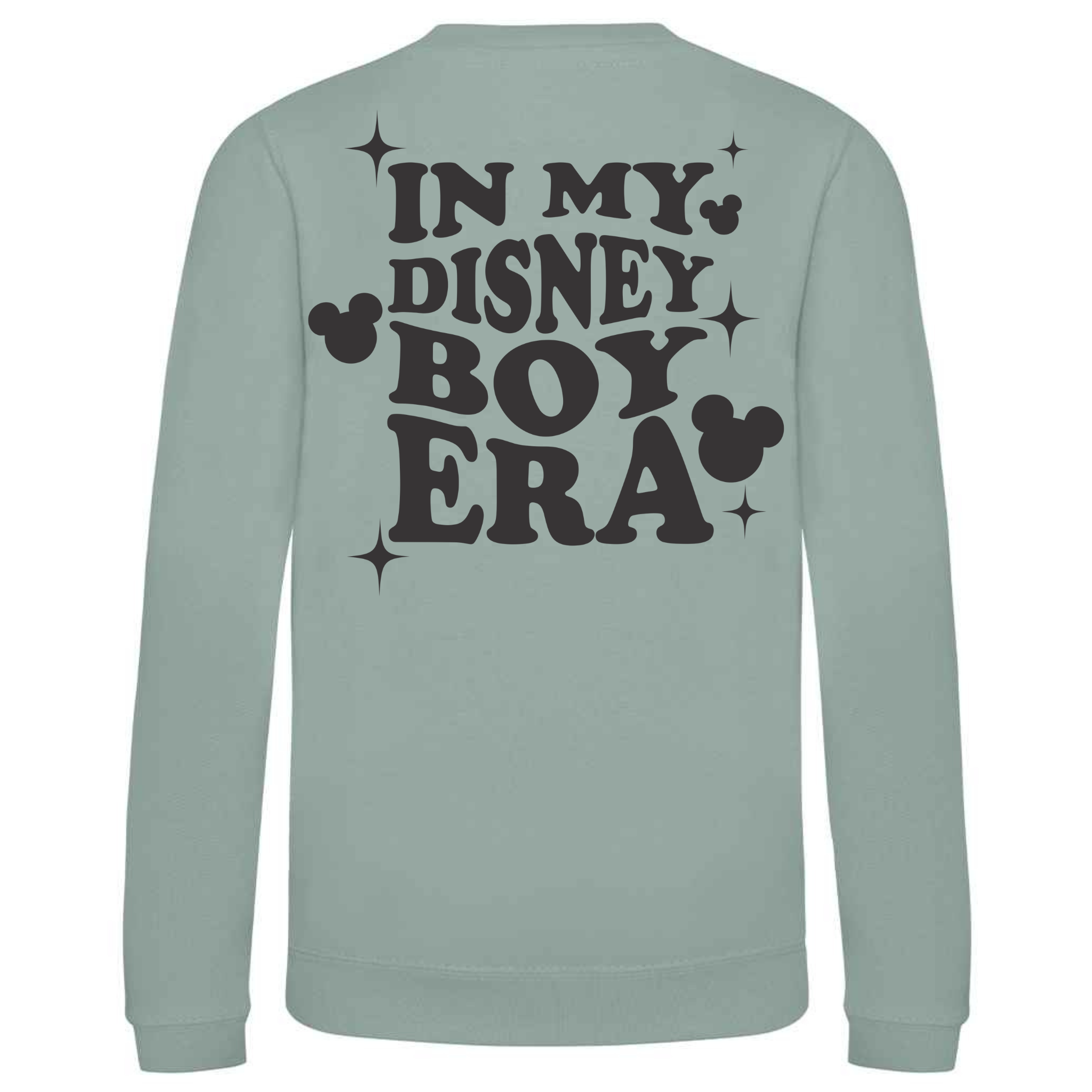 Disney Boy Sweat