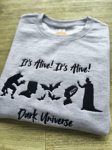 Dark Universe